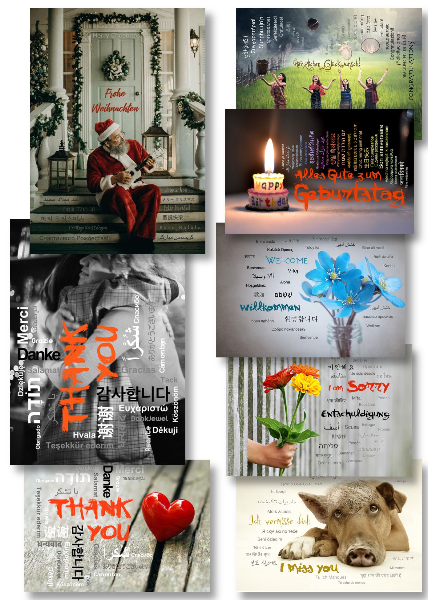 8er Postkarten Set - in 20 Sprachen - LILLYPARK