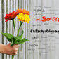 Postkarte "Entschuldigung", in 26 Sprachen - LILLYPARK