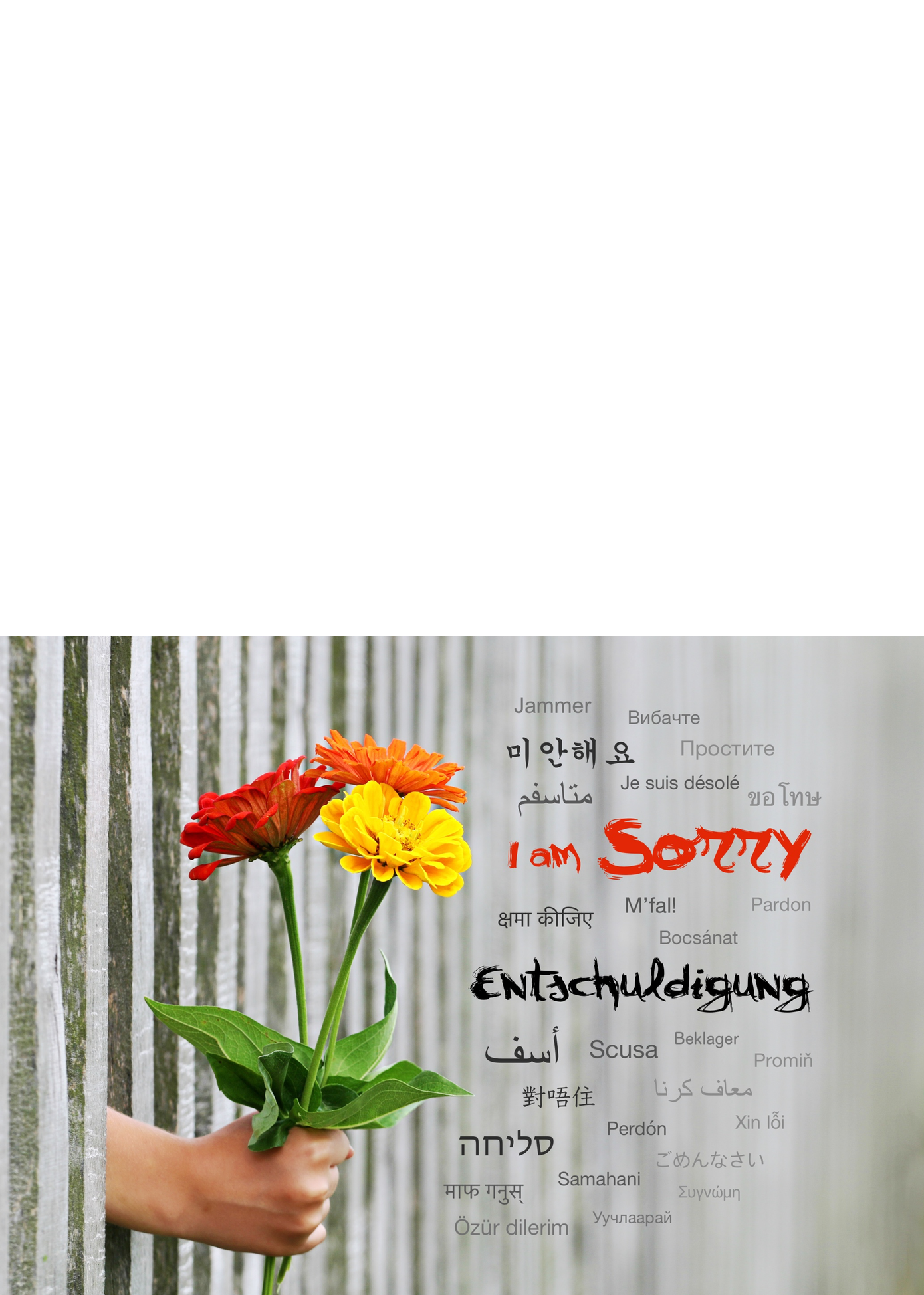 Postkarte "Entschuldigung", in 26 Sprachen - LILLYPARK